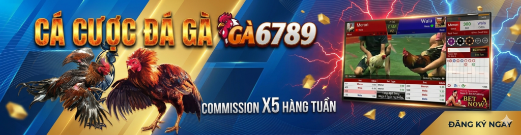 đá gà thomo ga6789